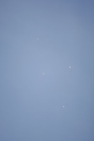Hawaii08_SkyDiving_380