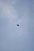 Hawaii08_SkyDiving_121