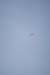 Hawaii08_SkyDiving_412