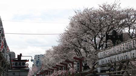 Japan_10_Tourist_048