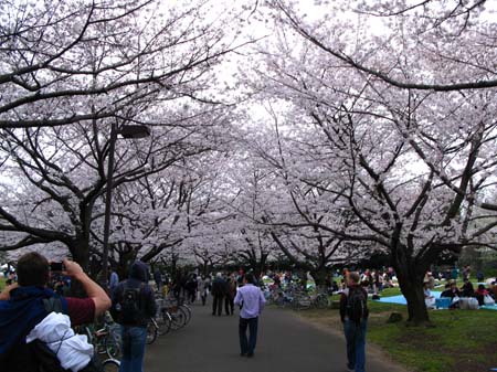 Japan_10_Tourist_068