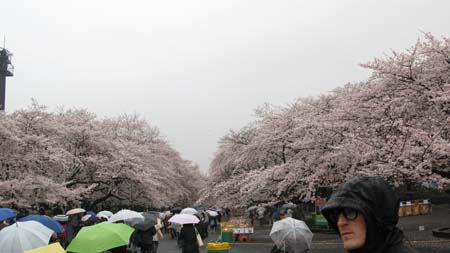 Japan_10_Tourist_110