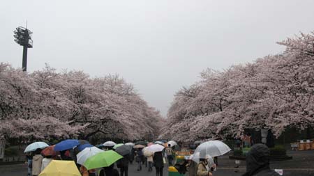 Japan_10_Tourist_111